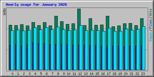 Hourly usage for January 2026