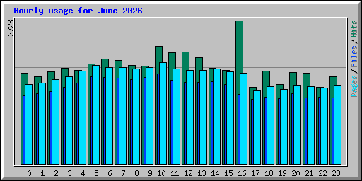 Hourly usage for June 2026