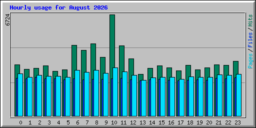 Hourly usage for August 2026